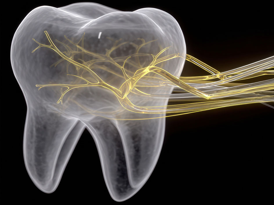 tooth nerve treatment in liverpool
